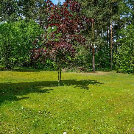 Scenic Forest Retreat Close To Town Centre, Beaches And Golf Course *